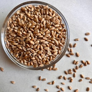 Grano de trigo duro sin OMG, perfecto para hornear, rico en vitaminas, proteínas, minerales y como fuente de energía saludable. - Product Image 2