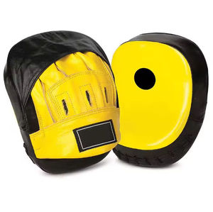 Guantes de Entrenamiento de Muay Thai Personalizados de Calidad Profesional y Almohadillas de Golpeo de PU con Material de Microfibra para Entrenamiento de Boxeo - Product Image 2