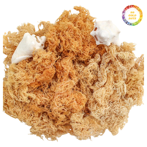 มอสทะเลแห้งสะอาดเกรดสูงมอสแห้งจำนวนมากสำหรับการแปรรูป - Product Image 3