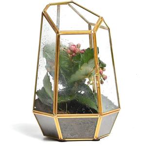 Terrarium en verre design haut de gamme, décoration d'intérieur, décoration minimaliste pour les amateurs de plantes, décoration de salon, cadeau personnalisé - Product Image 2