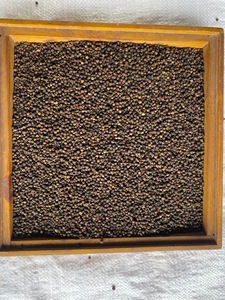 พริกไทยดำเวียดนามขายดี คุณภาพสูง เครื่องเทศรสเข้มข้น อบแห้ง ราคาส่ง - Product Image 4