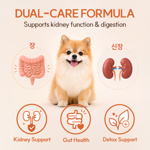 Tabletas Masticables para el Soporte Renal de Mascotas, para Perros y Gatos, Soporte Renal e Inmunológico, Salud Digestiva - Product Image 4