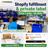 Agent de Traitement des Commandes Shopify en Chine, Service de Dropshipping avec Marquage Personnalisé, Sans MOQ, Expédition Express (3-10 Jours) pour