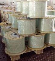 Semua Pipa FRP Berongga Dielektrik Anti-Petir Anti-EMI, Batang Fiberglass Berongga yang Kuat untuk Kabel Serat Komunikasi Daya ADSS.