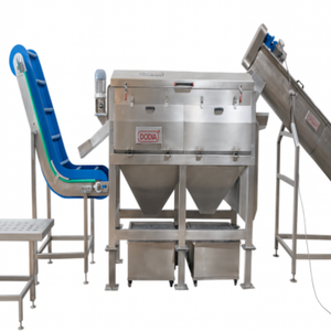Machine automatique de lavage et de pelage du gingembre, équipement de transformation alimentaire en acier inoxydable, système de nettoyage et de pelage haute capacité - Product Image 4