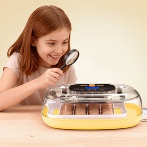 ตู้ฟักไข่ 24 ฟอง พร้อมไฟ LED ตรวจสอบไข่ ระบบพลิกไข่อัตโนมัติ ควบคุมอุณหภูมิและความชื้น หน้าต่างใสมองเห็นได้ 360 องศา อัตโนมัติ - Product Image 2