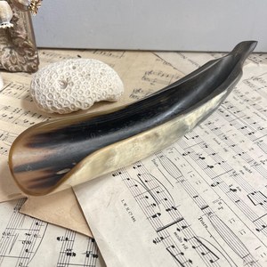 ถาดเปลือกหอยเป๋าฮื้อทรงรีขัดเงา ของตกแต่งบ้านแบบธรรมชาติ - Product Image 4