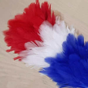 Plumes d'autruche teintées WIN MASTER INDUSTRIES, plumes de paon, plumes de coquille, vente en gros, service OEM, conception pour uniformes de cérémonie - Meilleures ventes - Product Image 6