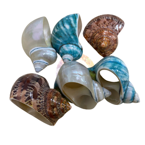 Porte-serviettes en coquillages naturels Ocean Breeze, écologique, pour anniversaire et mariage, largeur 5 cm, décoration de table à manger - Product Image 6