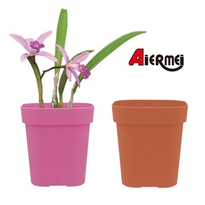 Macetero de Cactus, mini macetas de flores de piedra, bola, maceta de plástico de arcoíris, contenedor de flores, L-409 - Product Image 3