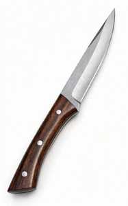 Couteau utilitaire d'extérieur artisanal en acier inoxydable avec manche en bois, lame pleine longueur, outil à lame fixe - Product Image 2