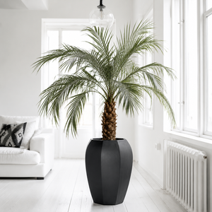 Maceta Alta y Profunda de Fibra de Vidrio de Ocho Lados, Color Negro Intenso, para Plantas <span class=keywords><strong>con</strong></span> Raíces Profundas, como Olivos, <span class=keywords><strong>Palmeras</strong></span> y Bambúes, en Tres Tamaños - Product Image 6