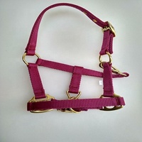 Cabestro de Latón Pulido para Caballo Miniatura con Turquesa, Collar de Cabeza Resistente para Caballo, Equipo de Equitación, Kanpur, India