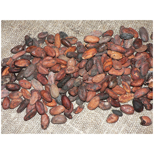 Cheap Rate Wholesale Best Cocoa <b>Beans</b> For Sale In bulk - Product Image 2