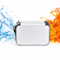 Sac de voyage ignifuge à double couche pour câbles, chargeurs, batterie externe, accessoires électroniques portables, étui argenté pour les voyages