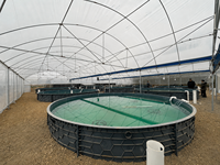 Équipement d'élevage de poissons Tilapia en PP écologique, équipement commercial d'élevage de poissons RAS, bassins de pisciculture extérieurs