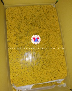 FRUTA DE LA PASIÓN CONGELADA DE VIETNAM – PULPA SIN SEMILLAS – EMBALAJE ESTÁNDAR DE EXPORTACIÓN - Product Image 1