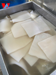 สีผลไม้รสพิเศษคุณภาพสูง Nata de Coco-มะพร้าวดิบเจลลี่ท็อปปิ้งในเวียดนาม/MS Shyn - Product Image 4