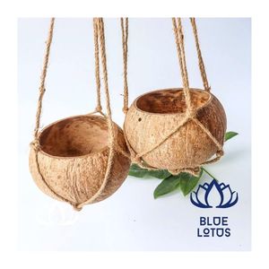 Cáscara de Coco para la Fabricación de Carbón y el Procesamiento de Combustible, Alta Densidad, Calidad Consistente, FAVORITO DE LOS CLIENTES - Product Image 1