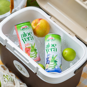 Boisson saine à l'aloe vera avec pulpe d'aloe vera 250 ml en canette, boisson fraîche à l'aloe vera du fabricant de boissons Nawon au Vietnam, marque privée - Product Image 5