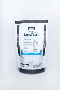 Oferta Especial: Suplemento Alimenticio Premium Laybest de 10 kg para Aves en Casetas, para Mejorar la Calidad de los Huevos o el Rendimiento de Crecimiento, Disponible para la Venta - Product Image 3