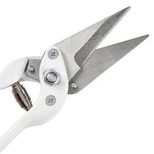 Wholesale supplier <b>Sheep</b> Foot Rot <b>Shear</b> Goat Rot <b>Shears</b> Hoof Cutters Trimmer German Stainless steel Veterinary Care Instruments - Product Image 3