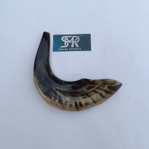 Instrument de cérémonie juif traditionnel Shofar en corne de bélier fait à la main pour les rassemblements religieux rituels à consonance spirituelle - Product Image 5