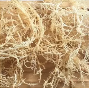 Suministro de Fábrica: Algas Secas de Eucheuma Cottonii Púrpura, Cosecha Salvaje, Origen Vietnam, Pedido a Granel, Cartón, Mejor Precio - Product Image 2