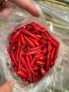 Natural IQF Frozen <b>Red</b> <b>Hot</b> Chili Pepper Whole Premium Food Grade Vietnam Supplier for Bulk Wholesale - Product Image 1