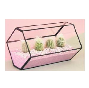 Terrario Triangular de Cristal para Suculentas, Musgo o Plantas Aéreas, Recipiente Artístico Transparente para Decoración del Hogar - Product Image 6