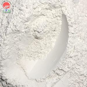 Carbonate de calcium de haute pureté pour revêtements de peinture Matériau polymère de qualité supérieure - Product Image 1