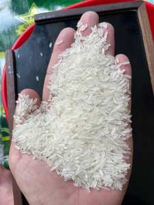 ข้าวหอมมะลิพรีเมียม ผลผลิตใหม่ จังหวัดเตียนเจียง เวียดนาม - จำหน่ายส่งสำหรับส่งออก ร้านอาหาร ซูเปอร์มาร์เก็ต กลิ่นหอมธรรมชาติ - Product Image 2