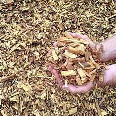 Copeaux de bois d'acacia de haute qualité, matériau bois écologique pour l'énergie biomasse et la production de granulés - Product Image 4