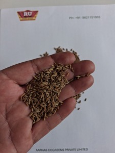 ผู้ส่งออกอินเดีย เมล็ดยี่หร่าดิบแห้งทั้งเมล็ด (เจียร์) เครื่องเทศธรรมชาติ 100 กก. อายุการเก็บรักษา <span class=keywords><strong>1</strong></span> <span class=keywords><strong>ปี</strong></span> สำหรับโรงแรม ร้านอาหาร และธุรกิจจัดเลี้ยง - Product Image 2