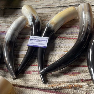 Par de Cuernos de Búfalo Pulidos para Decoración de Pared, Diseño Art Deco, Grandes de 10 a 18 Pulgadas, para Bodas, Cumpleaños, Aniversarios - Product Image 1