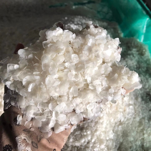 Vietnam exporta escamas de pescado seco/materias primas de pescado fresco precio barato buena calidad // Sra. Lily - Product Image 5