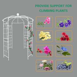 Arco da Giardino in Metallo con Struttura in Legno per Cerimonie Nuziali, Pergola a Forma di Gabbia per Uccelli 81.3FT X 114.2FT - Product Image 5