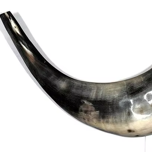 Shofares Auténticos Hechos a Mano con Cuerno Natural de Búfalo y Cabra, Pulidos, Decorativos para el Hogar, Artesanía Religiosa - Product Image 1