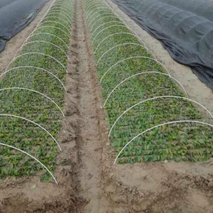 1-16mm Small Shed <b>Bracket</b> Fiberglass Rods Replace Moso Bamboo Sheets with High Toughness Solid Fiber Rods - Product Image 4