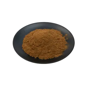Extracto de raíz de jengibre de alta calidad (5% jengibre)