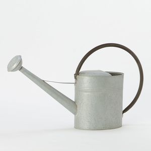 Regadera de hierro duradera con revestimiento anticorrosión para jardinería al aire libre y mantenimiento de plantas de larga duración - Product Image 3