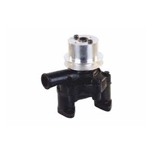 Bomba de agua y conjunto de bomba de aceite WPA para CAPTAIN MINI TRACTOR 165 70915346, piezas de lubricación y refrigeración del motor - Product Image 1