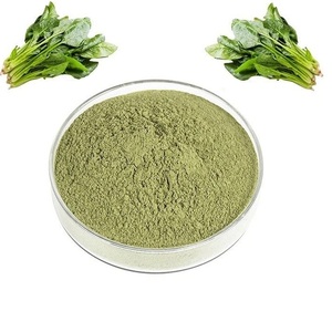 Polvo de extracto de hierbas de espinaca de grado alimenticio en embalaje de tambor Producto de extracto de planta Premium - Product Image 1