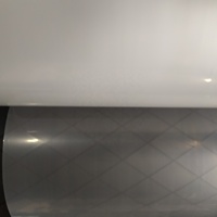 Rollos de Película de Plástico LDPE Transparente a Precio de Fábrica para Envasar Alimentos y Cubierta Antipolvo Fabricante de Vietnam