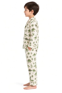 Ensemble de pyjama d'hiver pour garçons, motif dinosaure, ODM, chemise à manches longues boutonnée, pantalon long, ensemble de vêtements de nuit imprimé de dessins animés mignons, vente en gros - Product Image 5