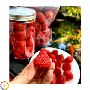 สตรอว์เบอร์รีอบแห้ง ผลไม้ทั้งลูก รสหวานธรรมชาติ สำหรับซีเรียล กราโนล่า เบเกอรี่ ของหวาน ท็อปปิ้ง ผลิตในเวียดนาม ขายส่ง - Product Image 1