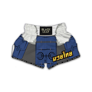 Custom Muay Thai Fight Shorts Professional Boxing Apparel Private Label OEM Wholesale Supplier - Product Image 4