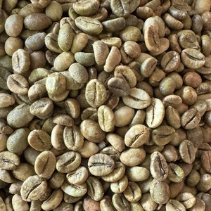Café Verde en Grano Vietnam Arabica Specialty Honey S16+ de Fábrica con Exportación al por Mayor y Suministro Estable - Product Image 2