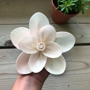 Flores de Plumeria Naturales en Madera Sola de 8-8.5 CM, Varilla de Fibra Vegetal de Sesbania, Aromaterapia Hecha a Mano - Product Image 4