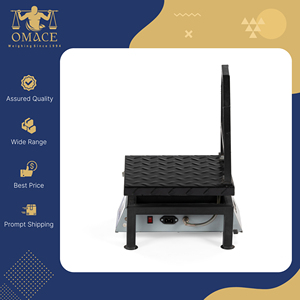 Báscula Digital de Sobremesa ACE de Acero Suave de Alta Resistencia, 300x300mm, Capacidad de 100kg, 1 Año de Garantía, Precisión de 5/10g, Origen India - Product Image 3
